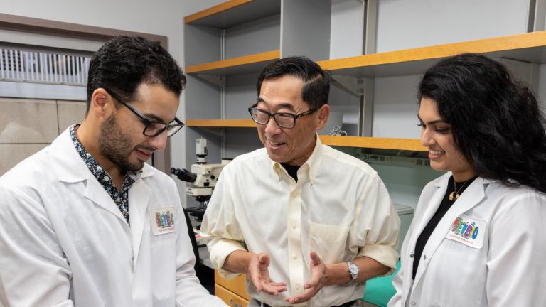 Gentle Stem Cell and Islet Transplant Cures Type 1 Diabetes in Mice