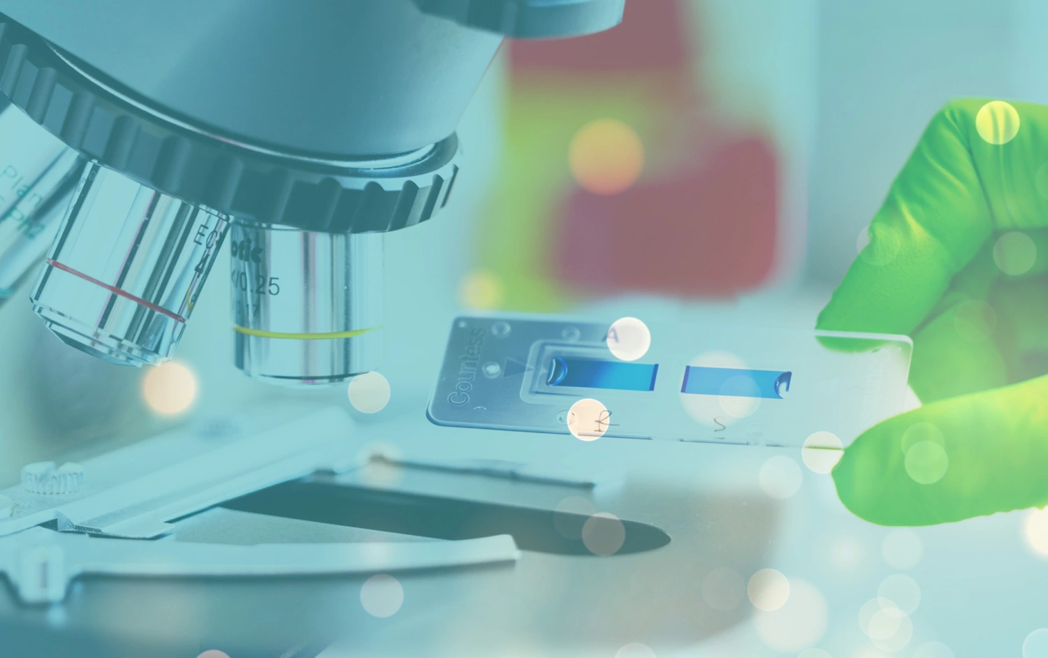 Major US Donation Funds Trial of Novel Nerve Stimulation Therapy for Rheumatoid Arthritis