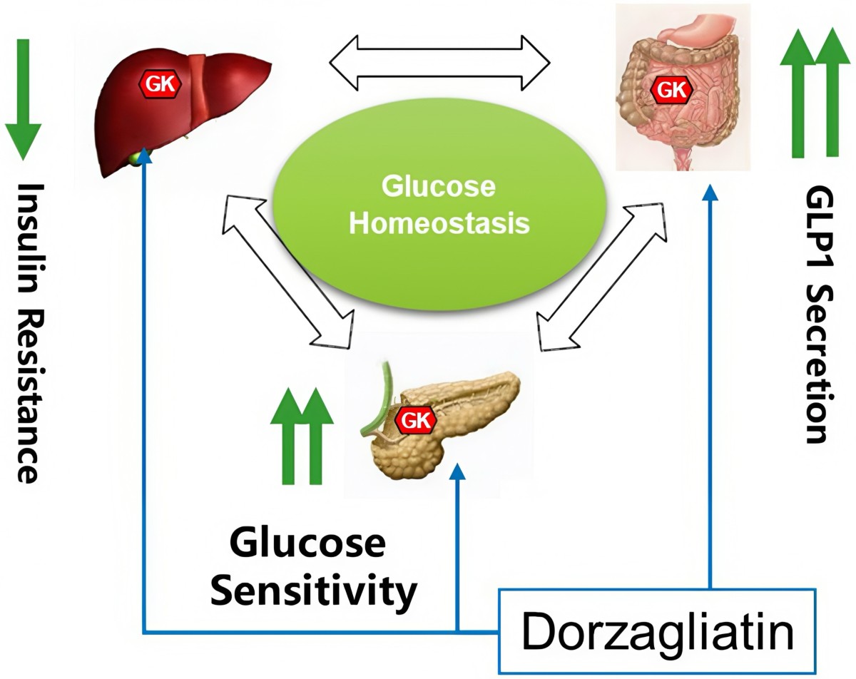 Chinese Diabetes Treatments Gain Global Traction After Domestic Success