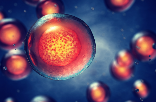 Novel Autoimmune Disease Therapy Shows Promise in Early Human Trial