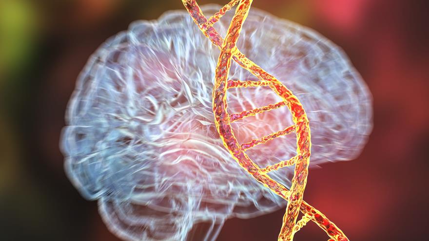 Gene Therapy Breakthrough Shows Promise for Rare Neurological Disorder