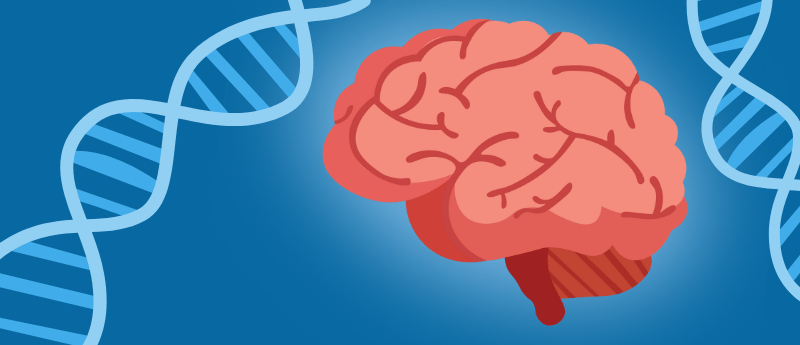 Early Gene Therapy Trial Shows Promise for Treating Hunter Syndrome