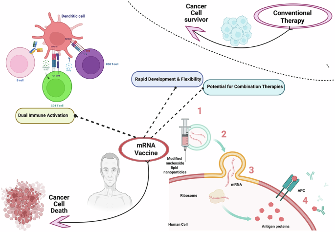 MRNA Vaccine Technology Shows Promise For Prostate Cancer Treatment
