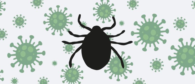 New Vaccine Shows Promise Against Deadly Crimean Congo Fever