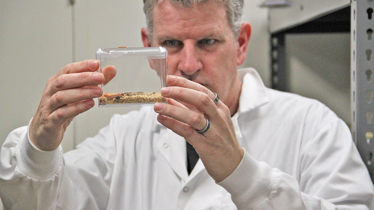 Ancient Soil Bacteria Produce Insect Toxin That May Lead to New Antibiotics