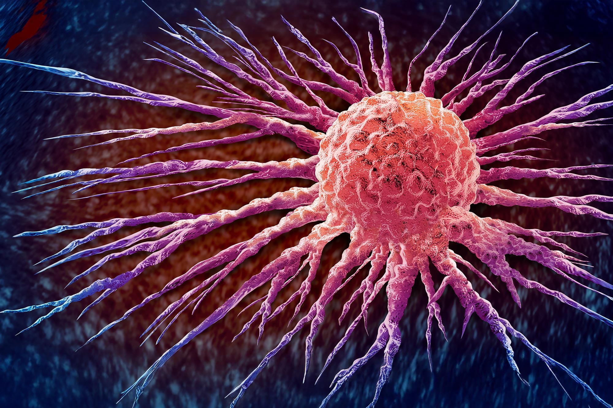 Bacterial Protein Inspired Peptide Disrupts Cancer Cell Energy in New Therapy