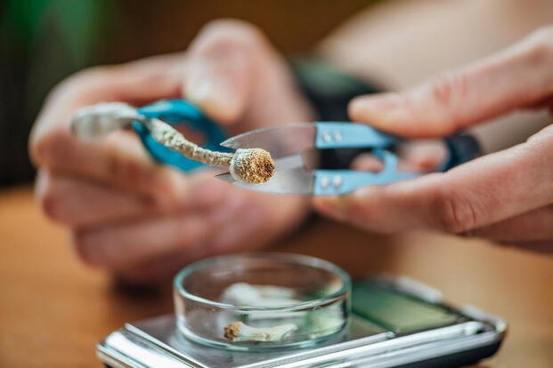 Bipartisan Bill Directs VA to Prepare for Future Psychedelic Therapies