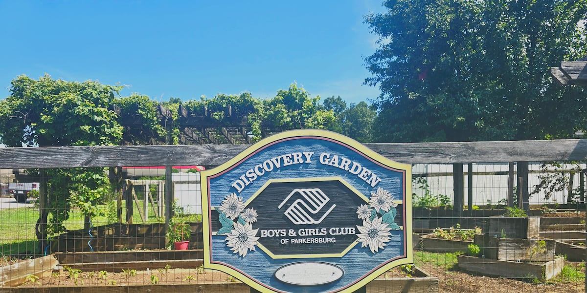 Community Garden Partnership Aims to Expand Healthy Food Access for Families