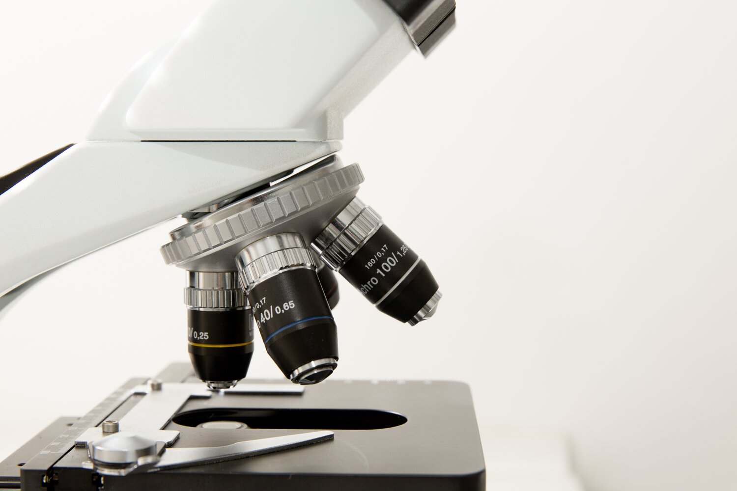 FDA Real Time Trials Show Early Promise in Speeding Drug Development