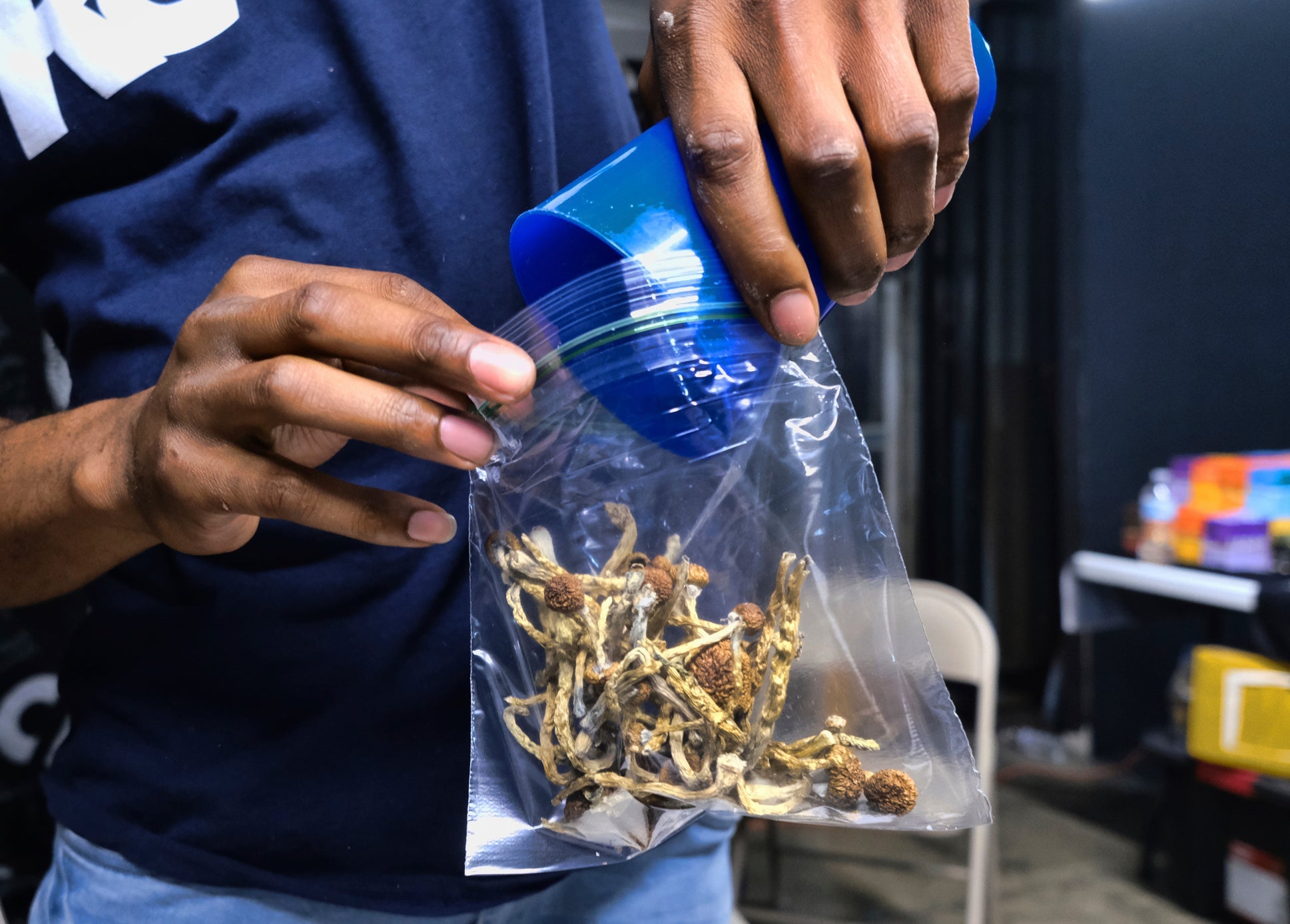 Federal Voucher Fast Tracks Psilocybin Research for Severe Depression