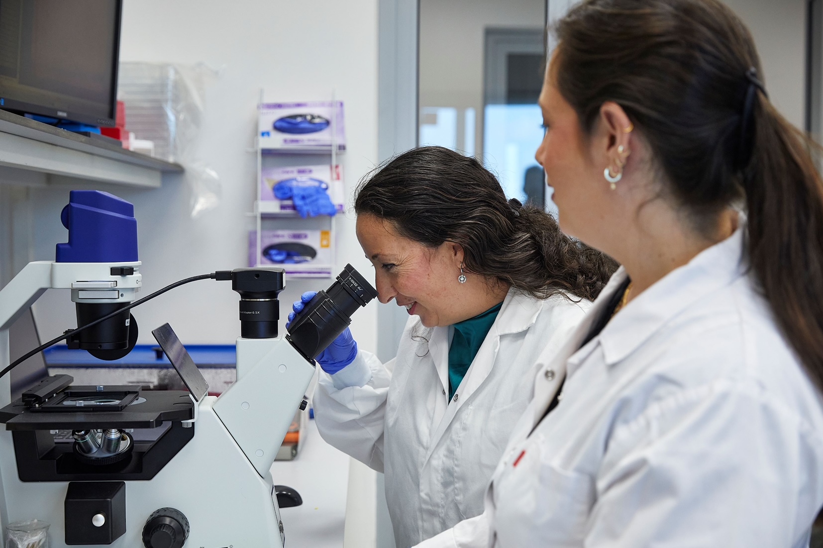 Florida Law Opens Door to Israeli Stem Cell Therapy for Diabetic Wounds