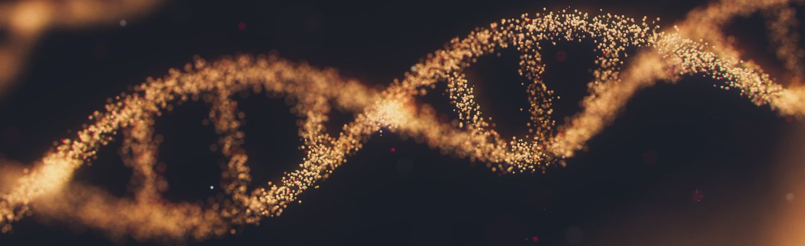 Gene Therapy Shows Unprecedented Tumor Eradication in Aggressive Brain Cancer Models