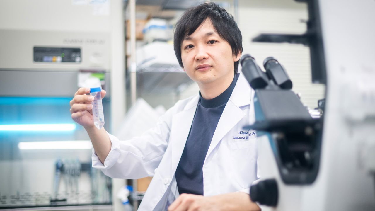 Liver Organoids From iPS Cells Show Promise for Transplant Alternatives