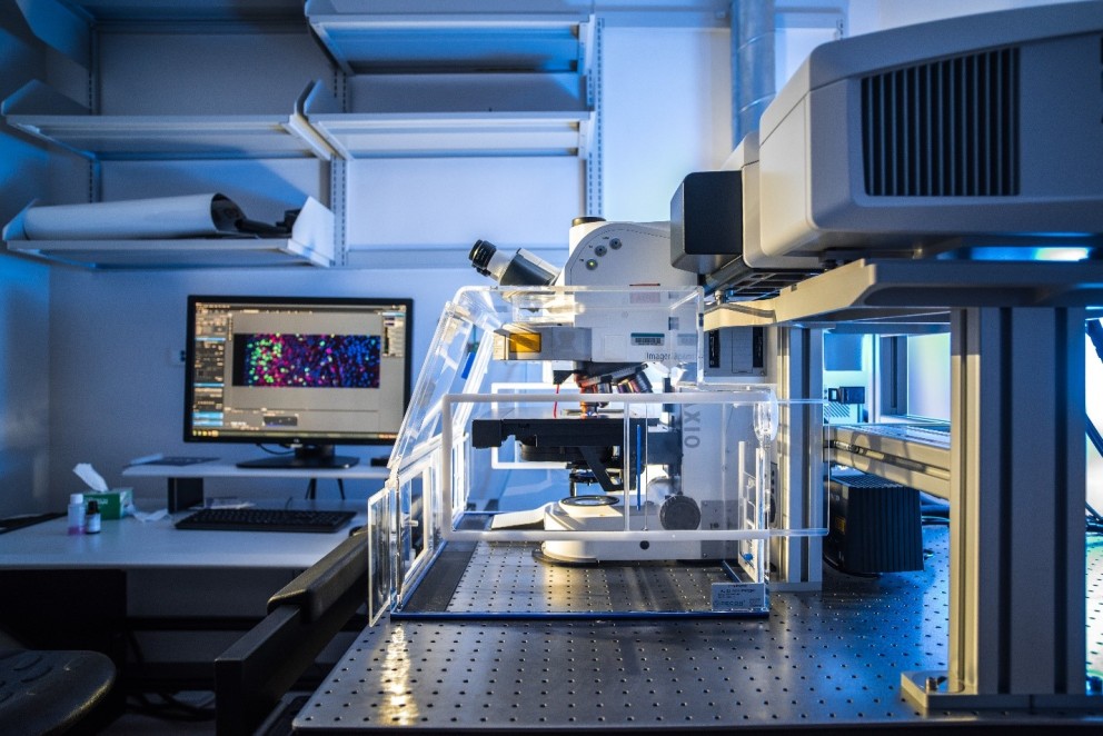 Research Identifies New Genetic Strategy to Treat Rett Syndrome