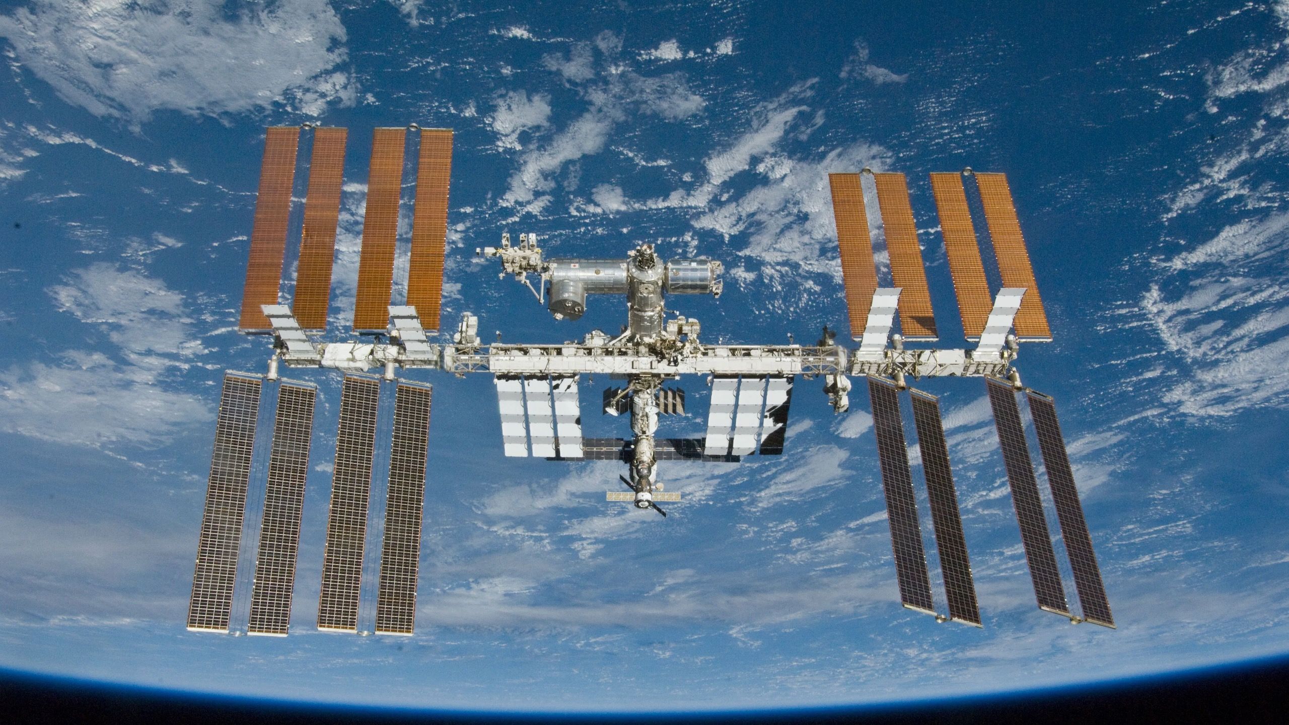 Scientists Bioprint Human Kidney and Liver Tissue in Space for First Time
