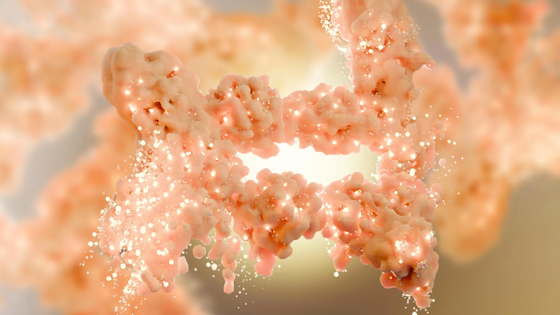Scientists Discover Fat Burning Protein Also Works Inside Cell Nucleus