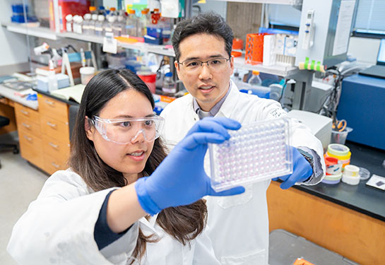 Scientists Discover How Cancers Evade BET Inhibitors Opening Door to New Therapies