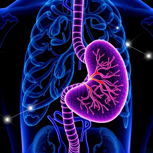 Vitamin D Analog Shows Promise in Remodeling Pancreatic Tumor Defenses
