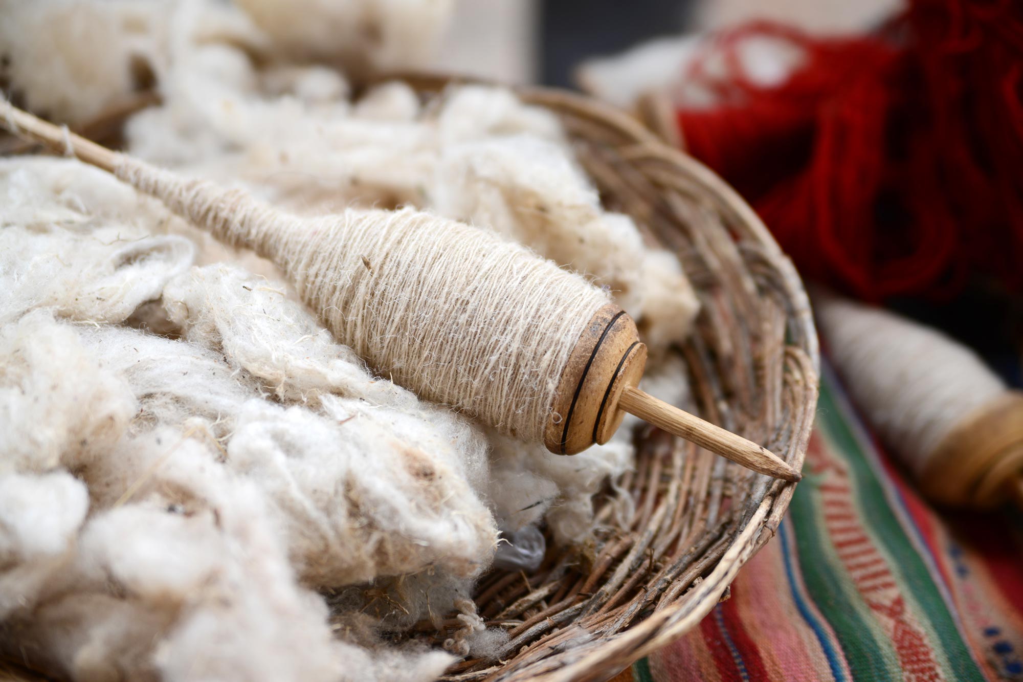 Wool Protein Shows Promise as Bone Healing Material in Animal Study